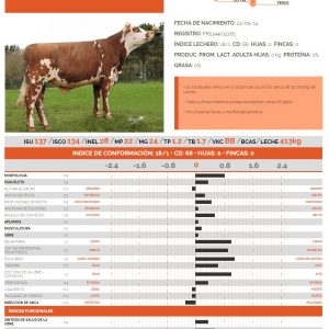 Toro Normando GENUS G