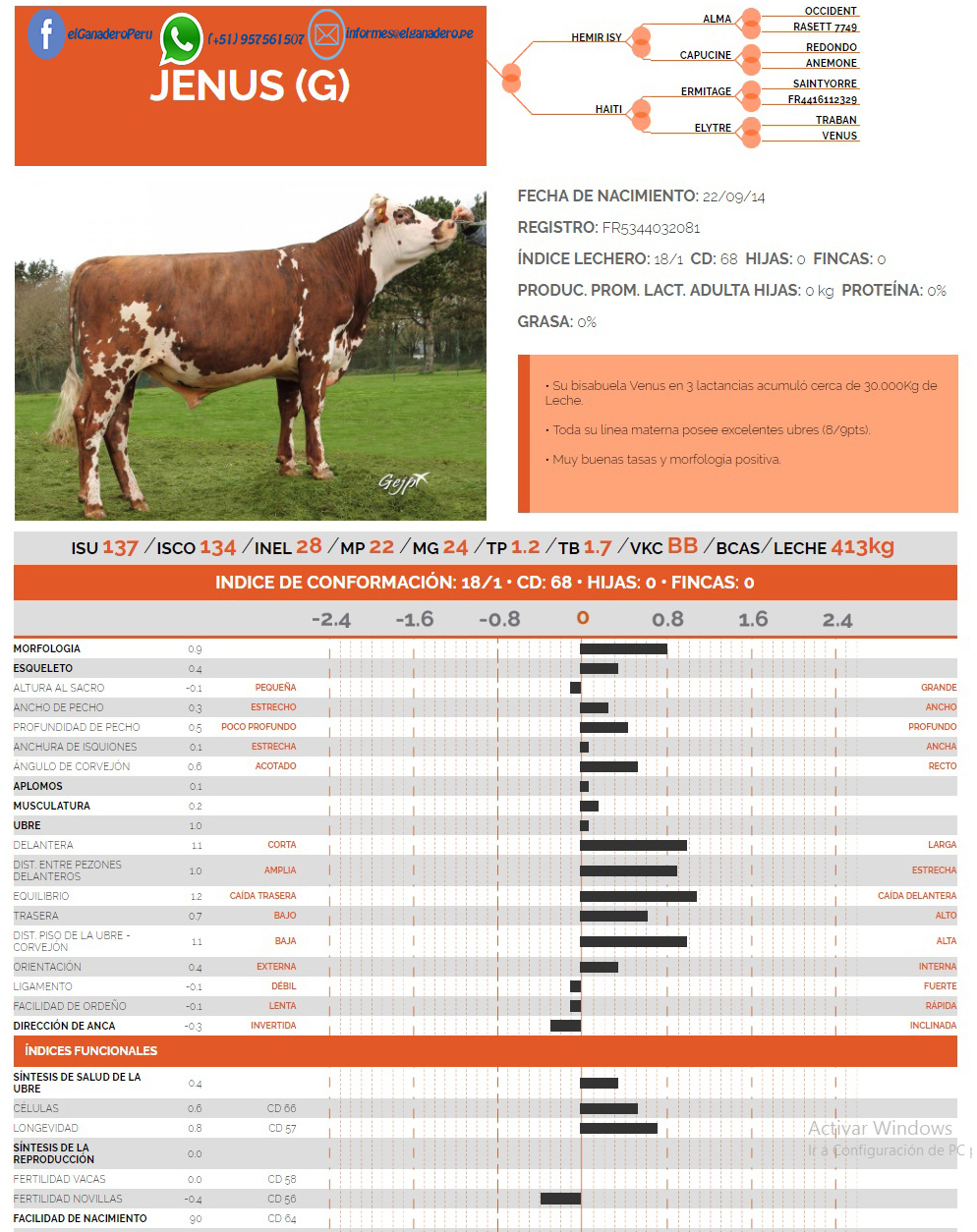 Toro Normando GENUS G