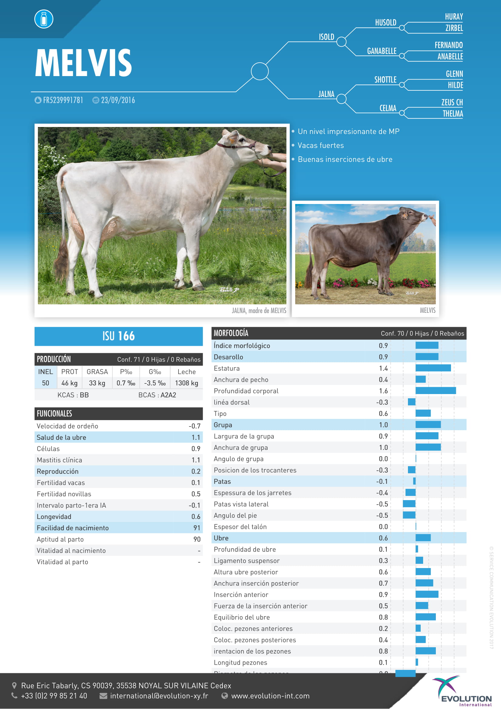 toro frances brown swiss melvis