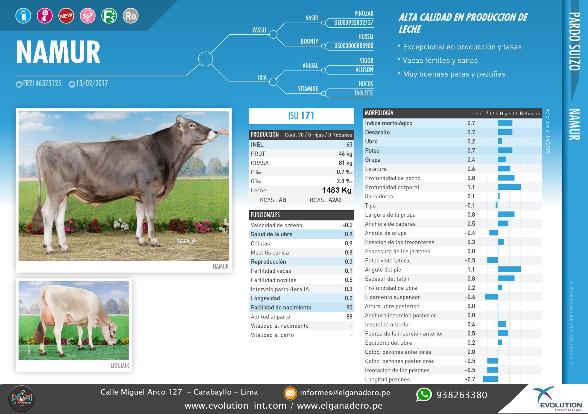toro brown swiss namur
