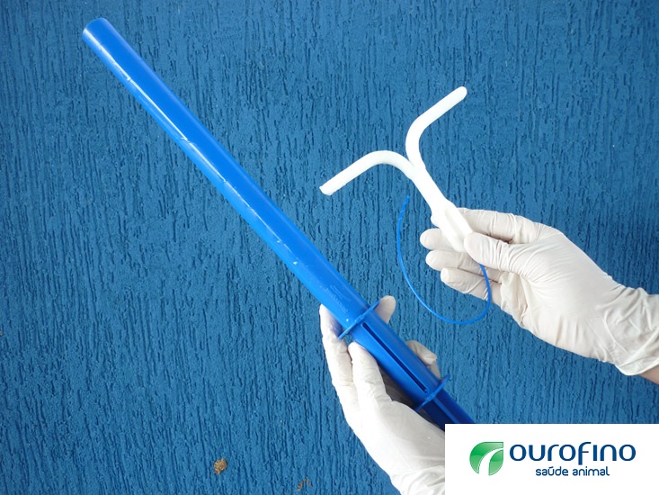 Progesterona Dispositivo Sincrogest®