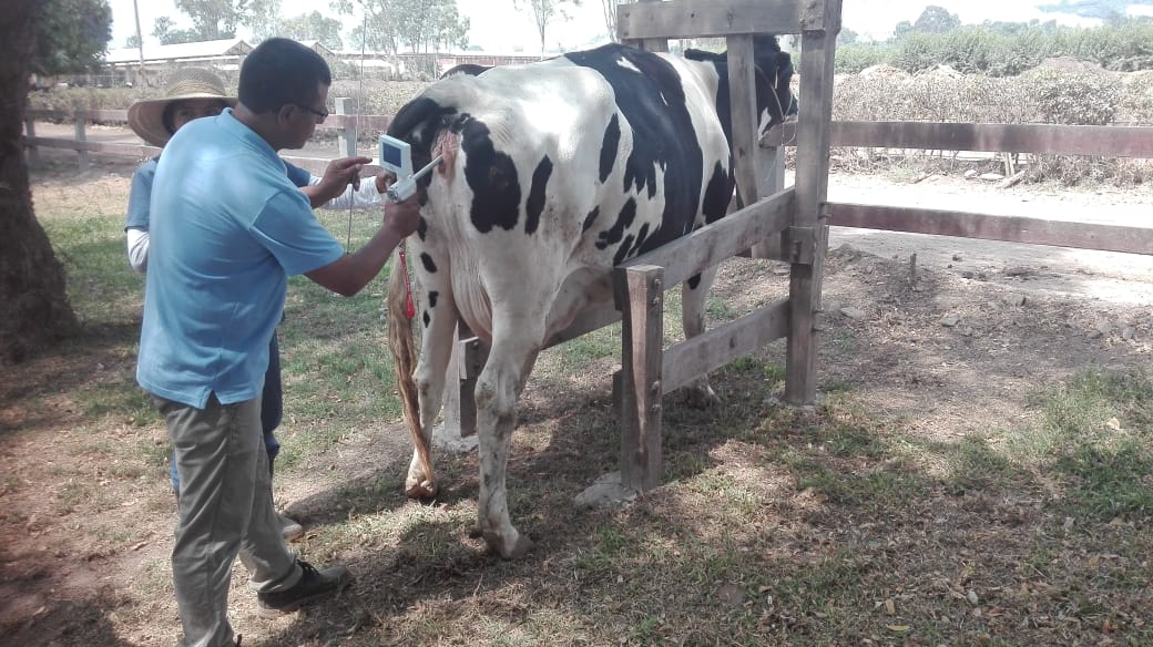 PISTOLA DE INSEMINACIÓN ARTIFICIAL CON CAMARA PARA VACAS - Imagen 10