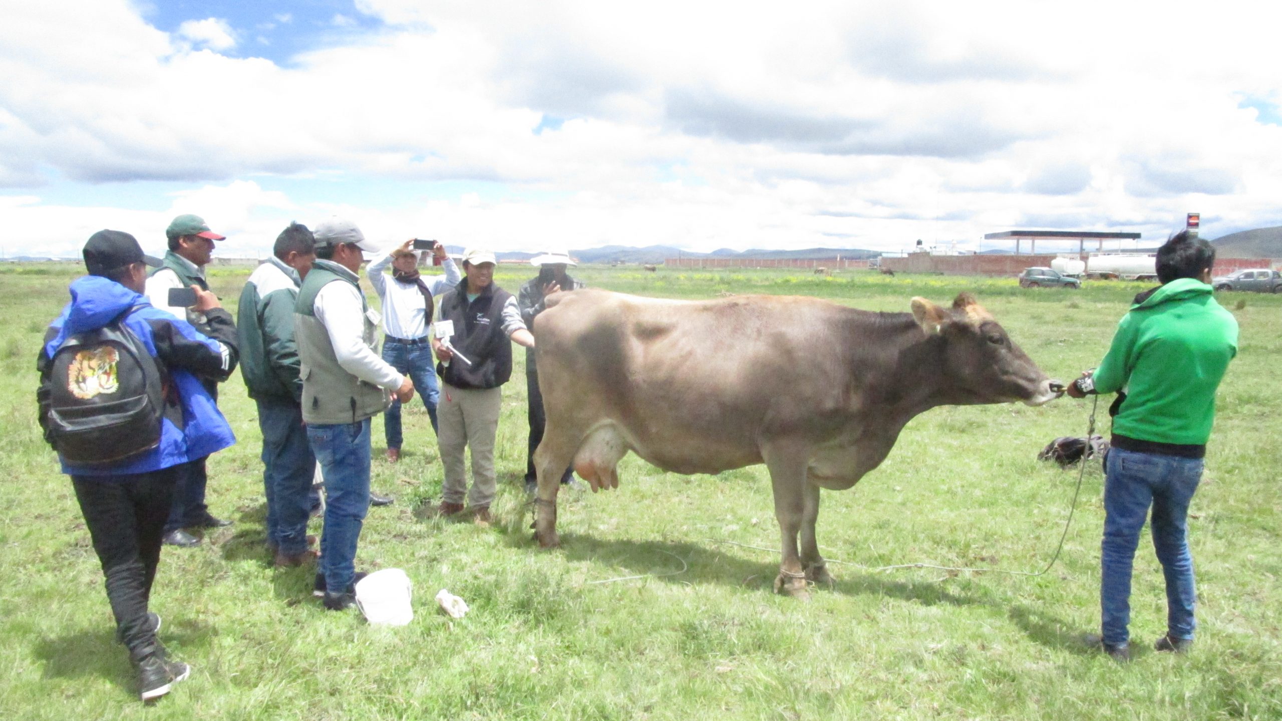 PISTOLA DE INSEMINACIÓN ARTIFICIAL CON CAMARA PARA VACAS - Imagen 6