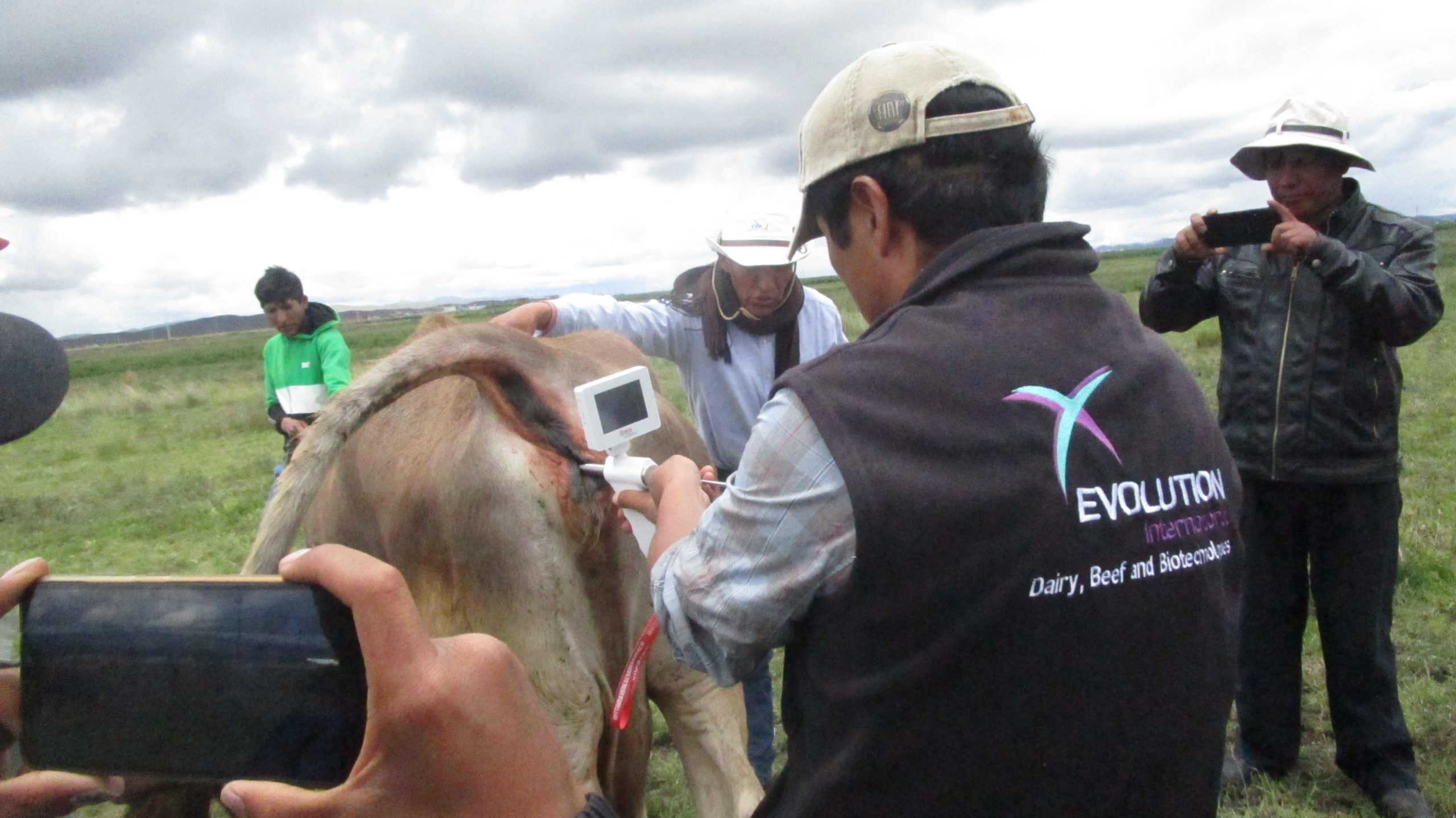 PISTOLA DE INSEMINACIÓN ARTIFICIAL CON CAMARA PARA VACAS - Imagen 7