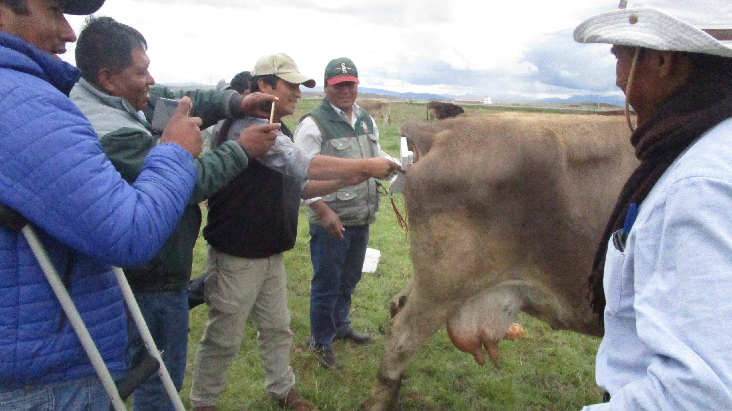 PISTOLA DE INSEMINACIÓN ARTIFICIAL CON CAMARA PARA VACAS - Imagen 8