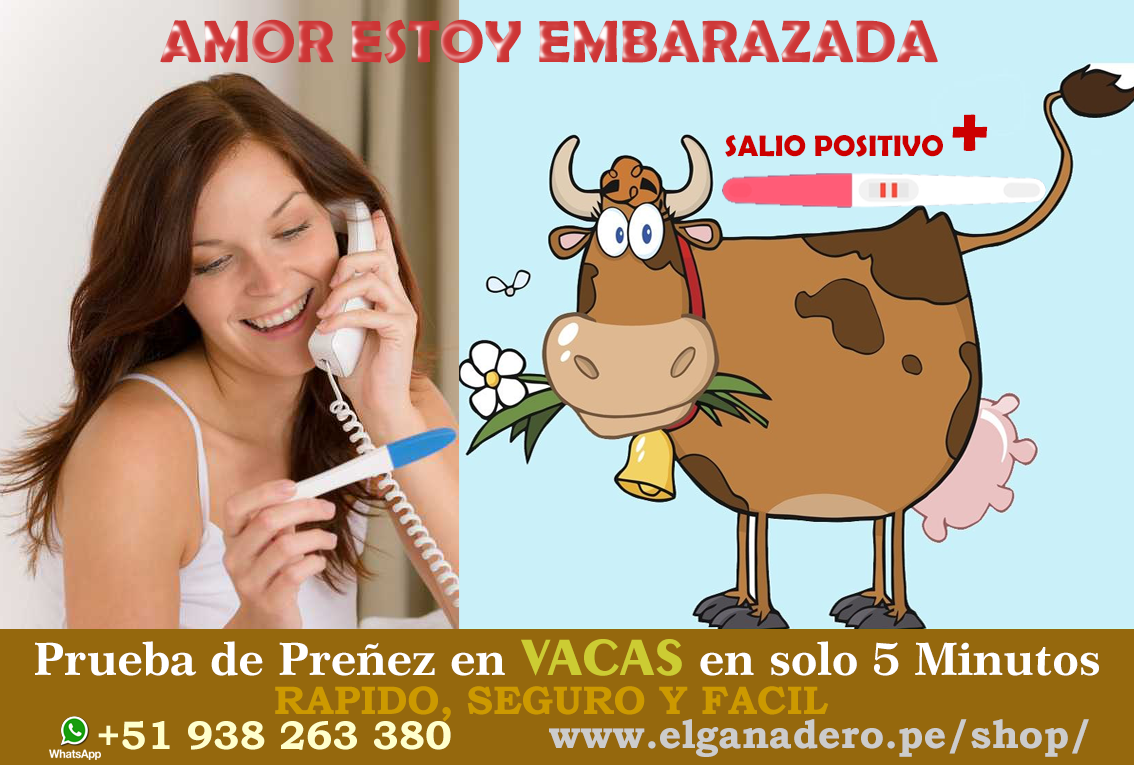 test de preñez para vacas