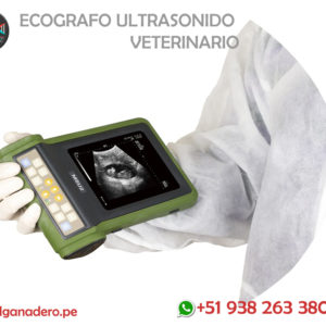 Ecógrafos Veterinarios