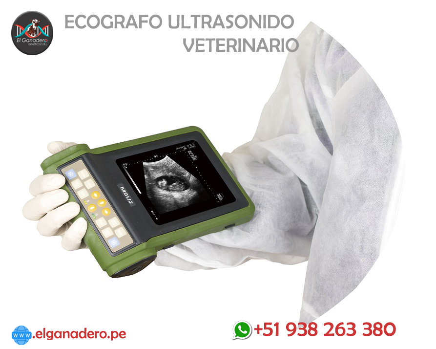 ecofragos veterinarios