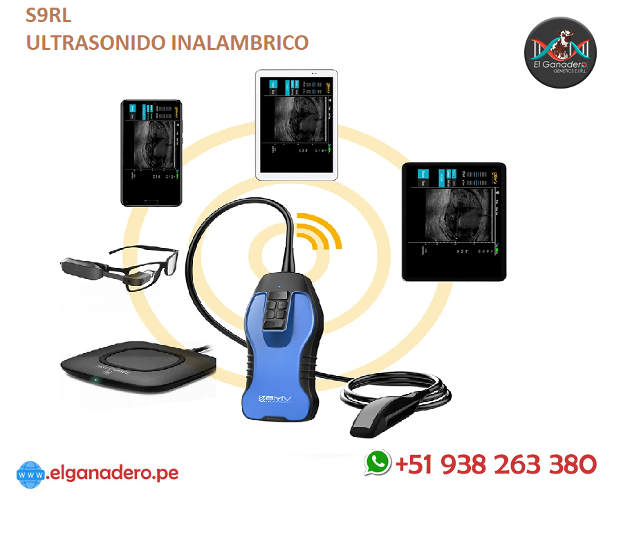 ultrasonido b inalambrico s9rl bmv