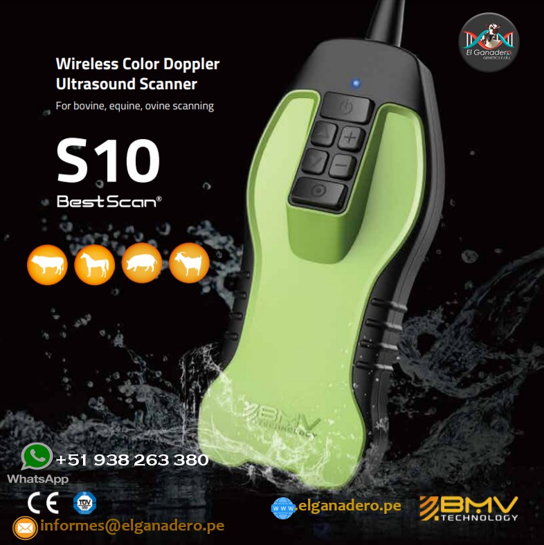 Ecógrafo Veterinario S10 BMV Inalámbrico - Imagen 2