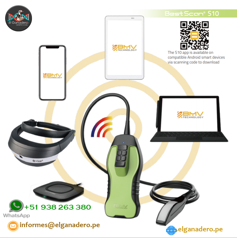 Ecógrafo Veterinario S10 BMV Inalámbrico - Imagen 3