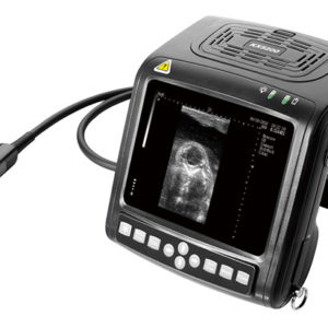 KX5200 Escáner de ultrasonido veterinario modo B