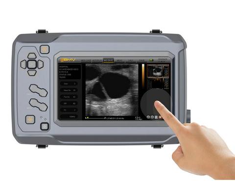 BESTSCAN ® S6 Touch Curve Bmv - Ultrasonido Veterinario - Imagen 3