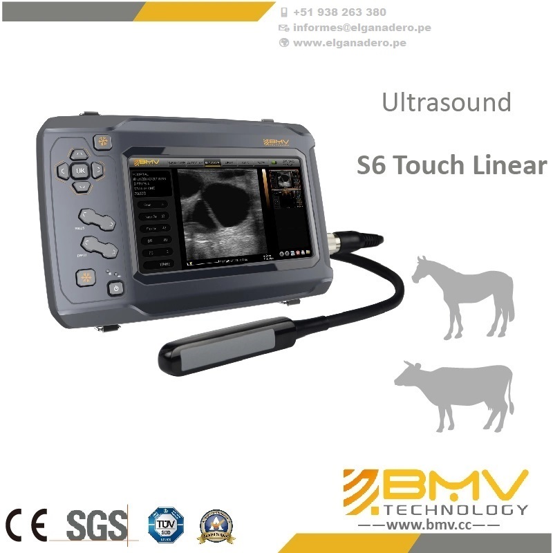 BESTSCAN ® S6 Touch Curve Bmv - Ultrasonido Veterinario - Imagen 6