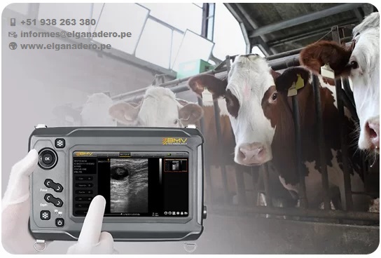 BESTSCAN ® S6 Touch Curve Bmv - Ultrasonido Veterinario - Imagen 8
