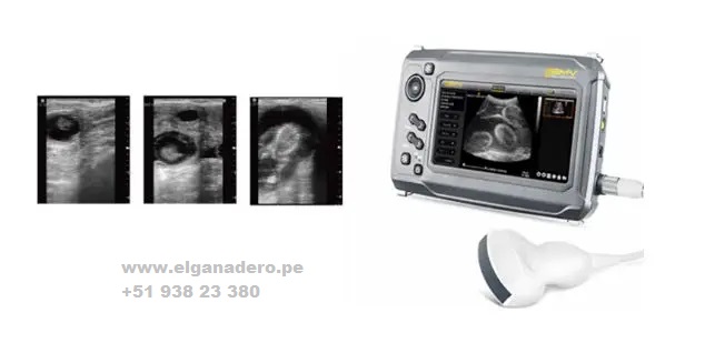 BESTSCAN ® S6 Touch Curve Bmv - Ultrasonido Veterinario - Imagen 10
