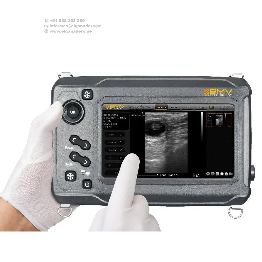 BESTSCAN ® S6 Touch Curve Bmv - Ultrasonido Veterinario - Imagen 11