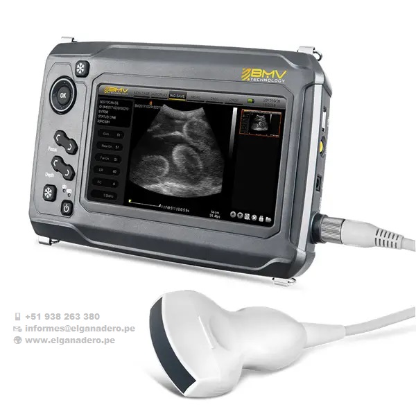 BESTSCAN ® S6 Touch Curve Bmv - Ultrasonido Veterinario - Imagen 17
