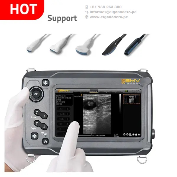 BESTSCAN ® S6 Touch Curve Bmv - Ultrasonido Veterinario - Imagen 18