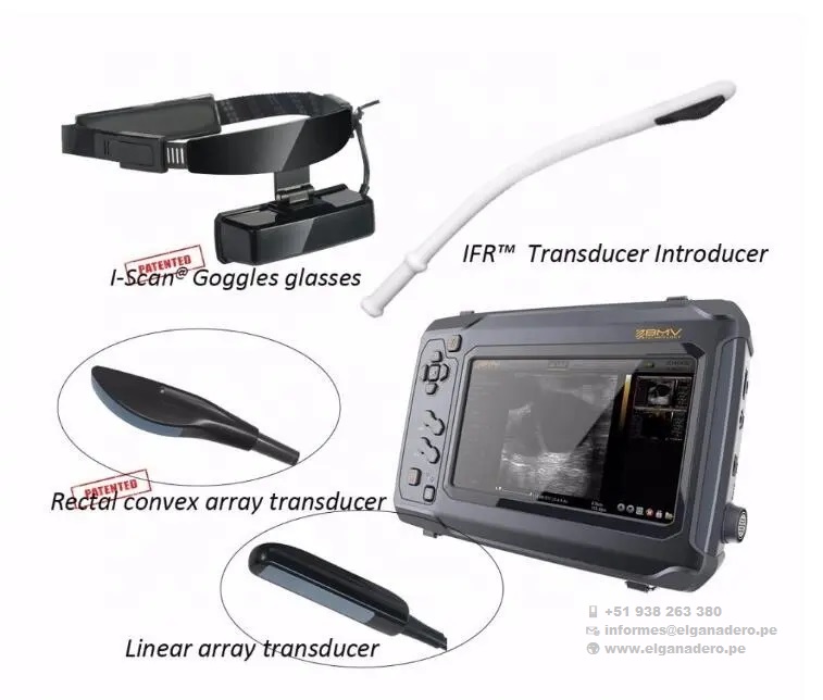 BESTSCAN ® S6 Touch Curve Bmv - Ultrasonido Veterinario - Imagen 20