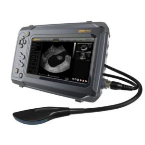 BESTSCAN ® S6 Touch Curve Bmv - Ultrasonido Veterinario