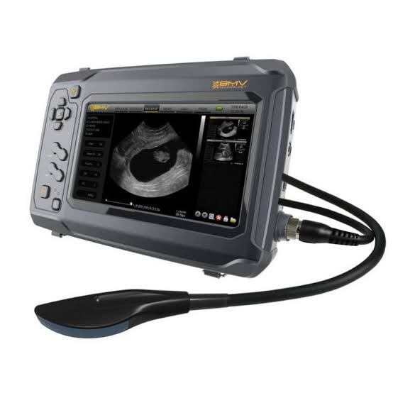 BESTSCAN ® S6 Touch Curve Bmv - Ultrasonido Veterinario