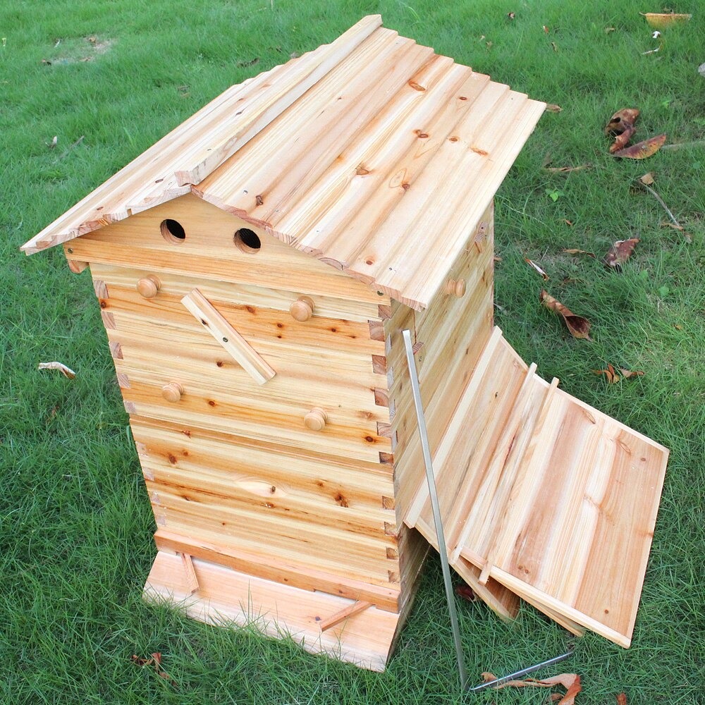COLMENA AUTOMATICA PARA EXTRAER MIEL DE ABEJAS - Imagen 11