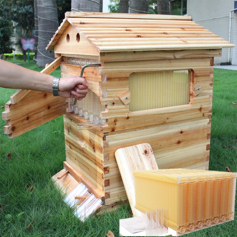 COLMENA AUTOMATICA PARA EXTRAER MIEL DE ABEJAS