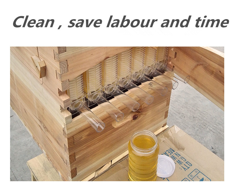 COLMENA AUTOMATICA PARA EXTRAER MIEL DE ABEJAS - Imagen 5