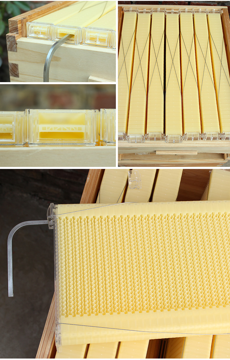 COLMENA AUTOMATICA PARA EXTRAER MIEL DE ABEJAS - Imagen 6