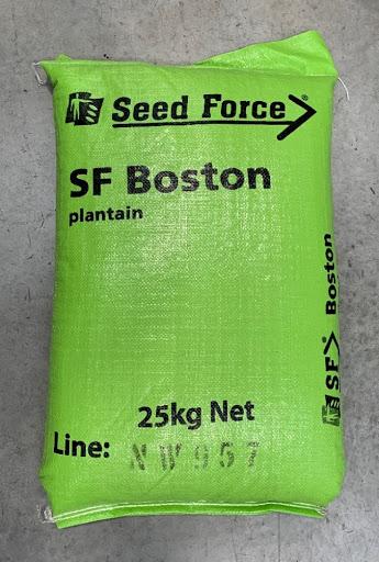 LLANTEN FORRAJERO (SF BOSTON PLANTAIN) - Imagen 3