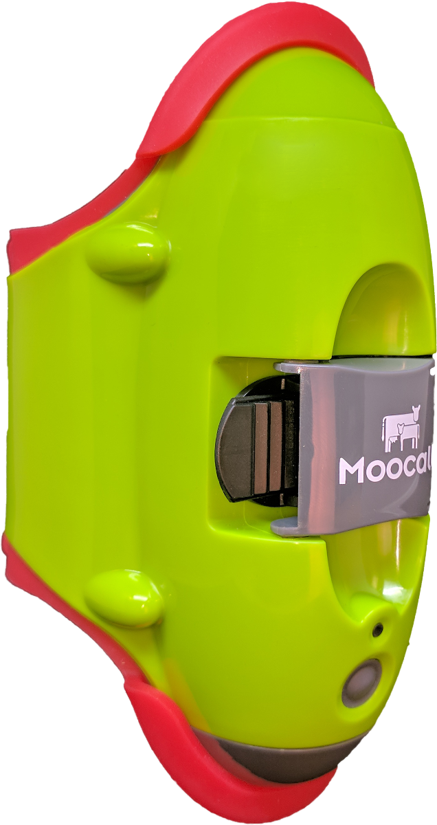 DETECTOR DE PARTOS PARA VACAS MOOCALL - Imagen 2