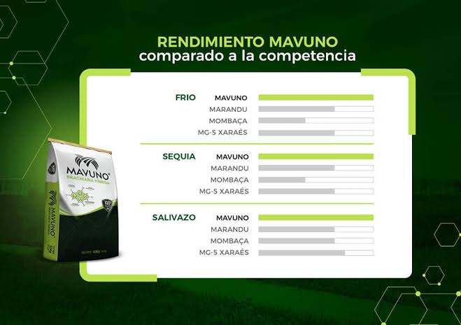 Semilla MAVUNO para el Trópico - Imagen 14