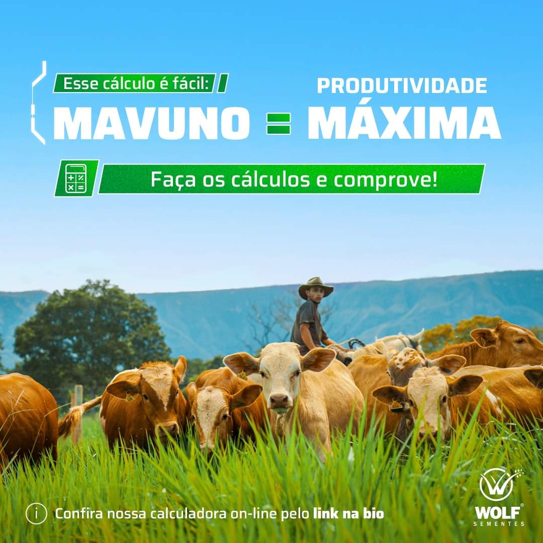 Semilla MAVUNO para el Trópico - Imagen 7