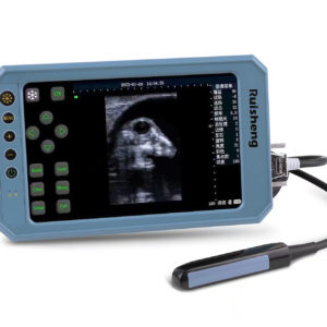 Ultrasonido Digital Pantalla Táctil T6