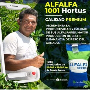 Semilla de Alfalfa HORTUS 1001