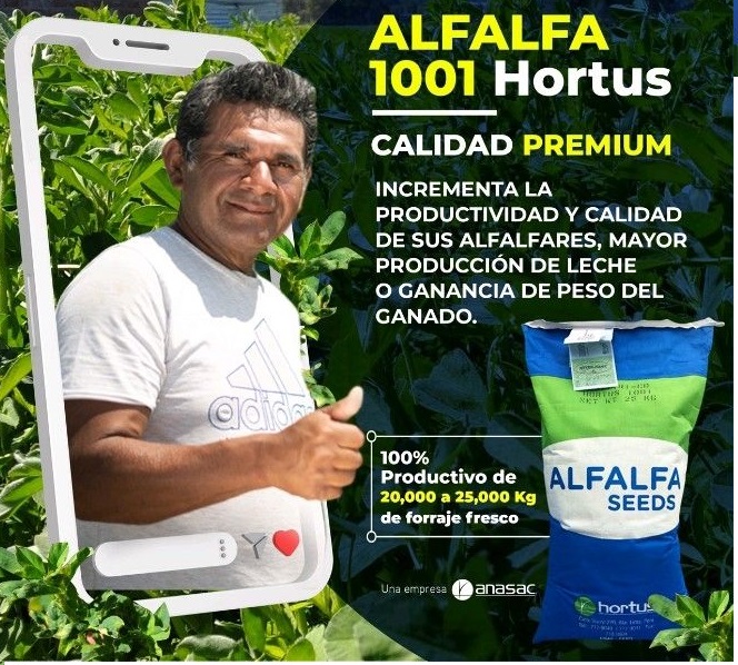 Semilla de Alfalfa HORTUS 1001