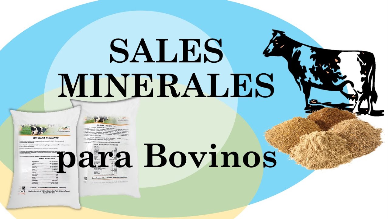 Sal Mineral BIGSAL 30 - Imagen 2