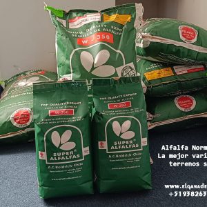 Semilla de Alfalfa W350 Baldrich