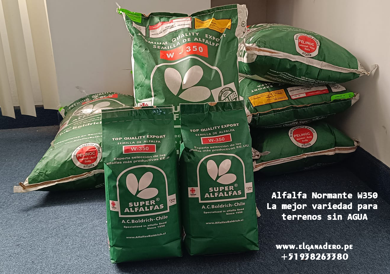 Semilla de Alfalfa W350 Baldrich