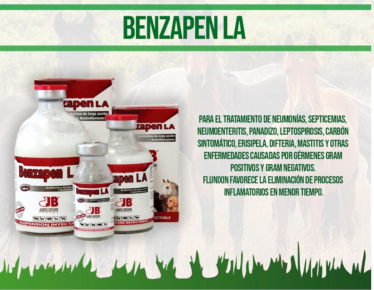 BENZAPEN L.A. 100 ml - Imagen 2