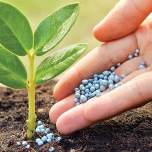 Fertilizantes