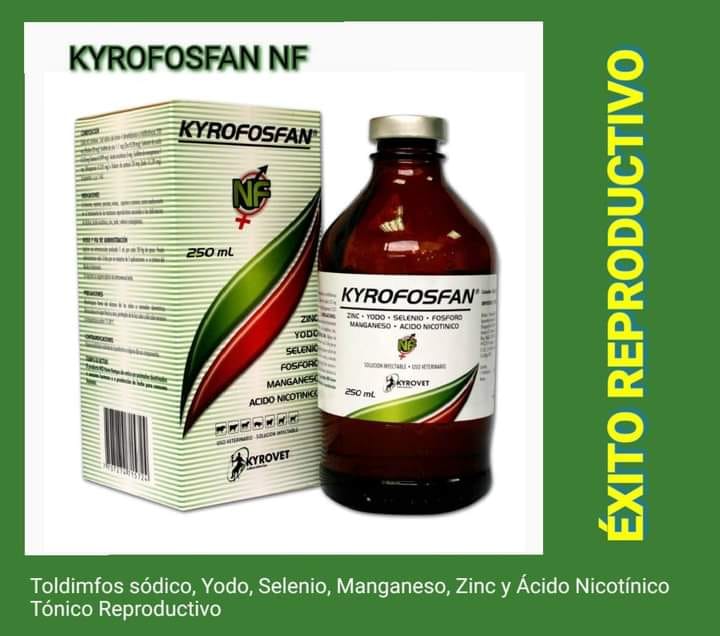 Kyrofosfan NF - Imagen 2