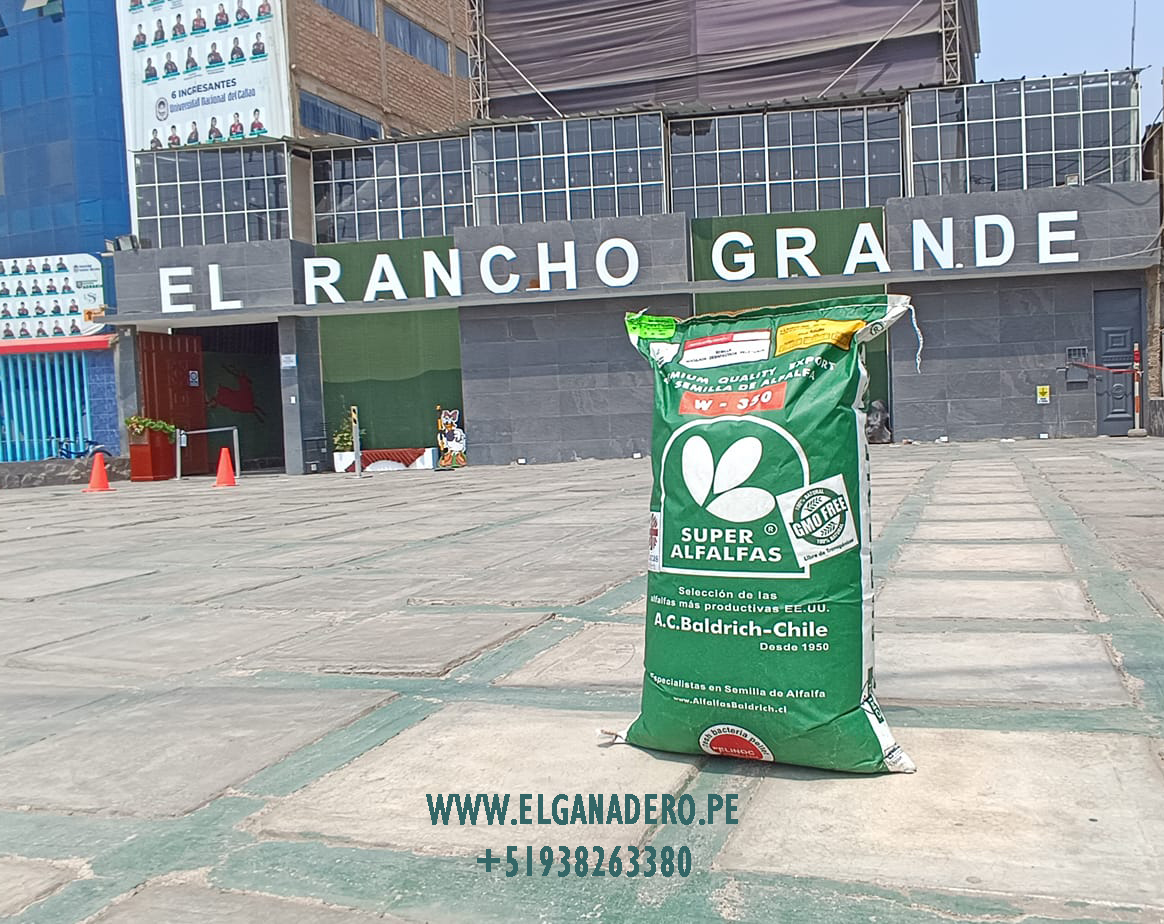 Semilla de Alfalfa W350 Baldrich - Imagen 21