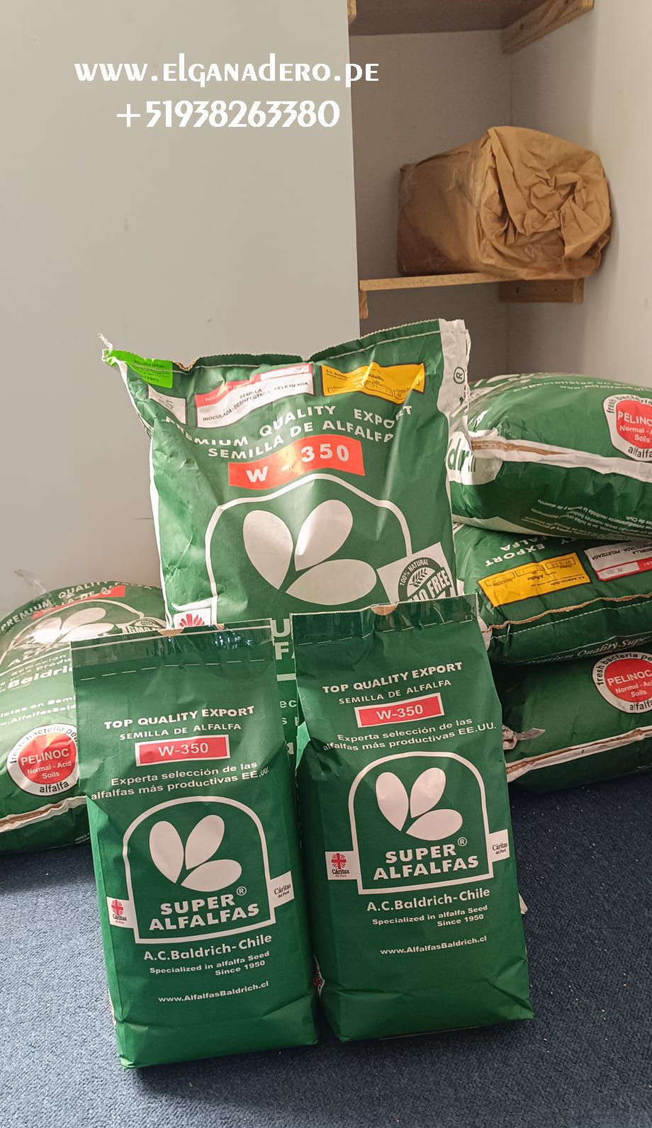 Semilla de Alfalfa W350 Baldrich - Imagen 18