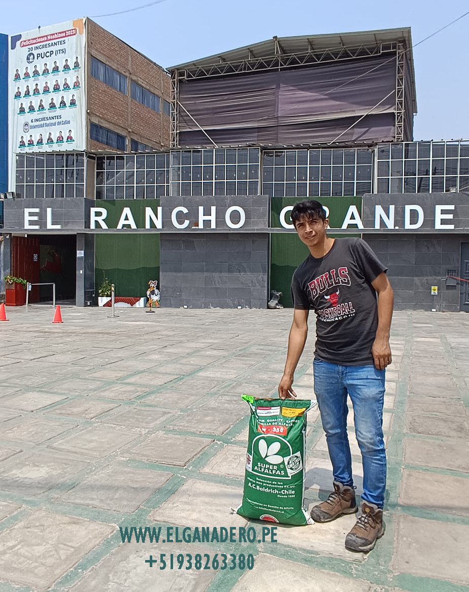 Semilla de Alfalfa W350 Baldrich - Imagen 19