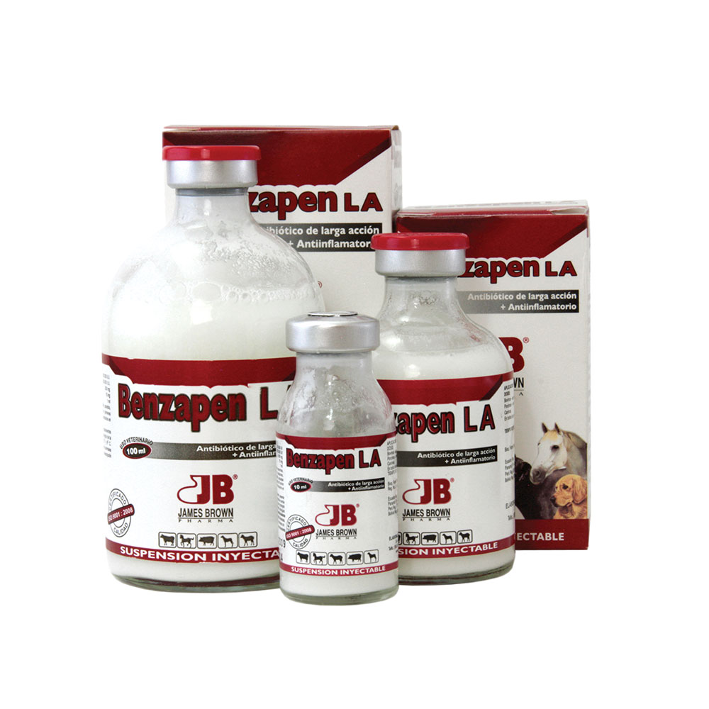 BENZAPEN L.A. 100 ml