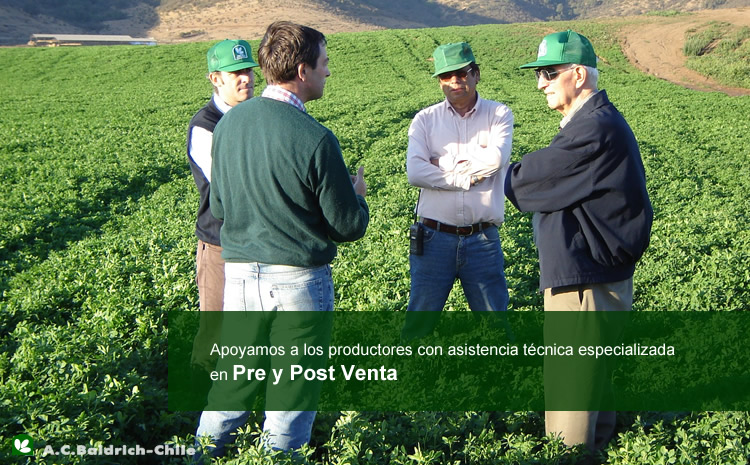 Semilla de Alfalfa W350 Baldrich - Imagen 4