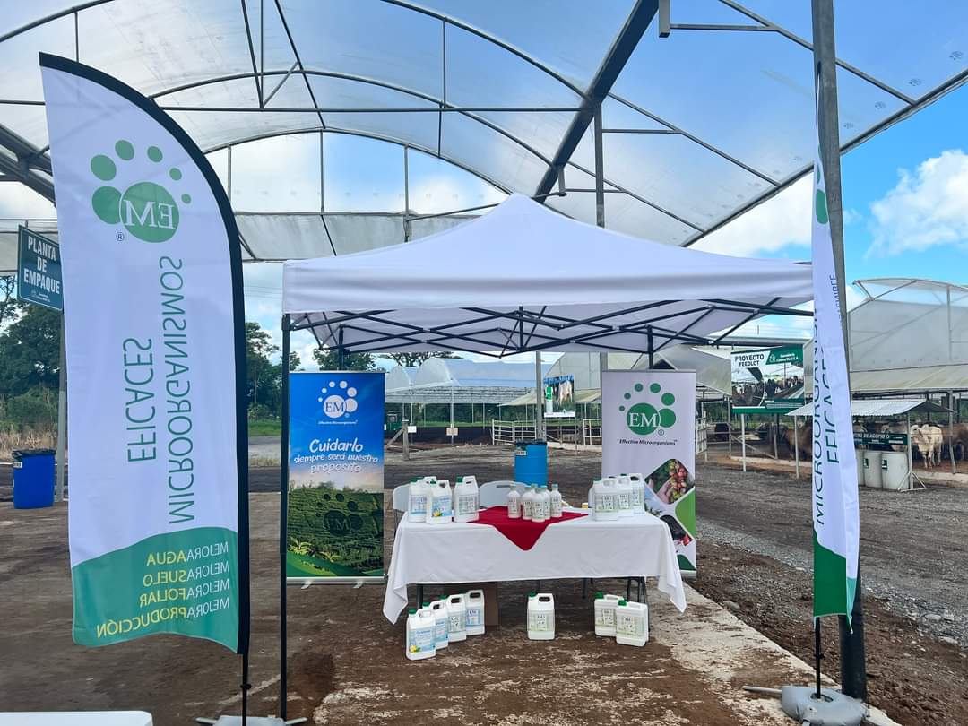 EM•COMPOST® 1 Litro - Imagen 7