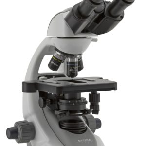 Microscopio Binocular Optika B-292 Hecho en Italia